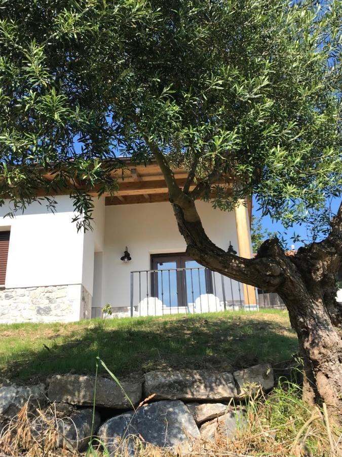 Villa La Casina Del Olivo Ribadesella Esterno foto